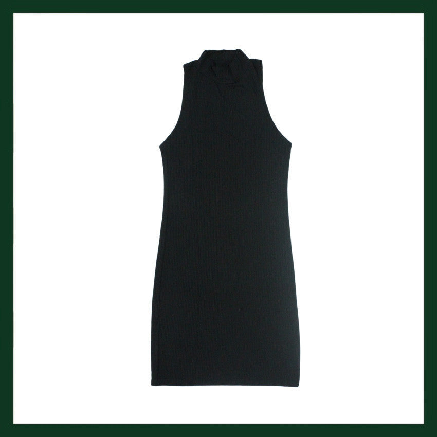 Turtle neck rib bodycon dress